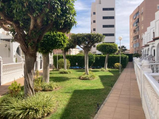 Casa Torrevieja La Mata Villa Eksteriør billede